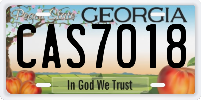 GA license plate CAS7018