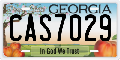 GA license plate CAS7029