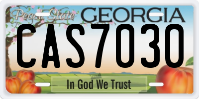 GA license plate CAS7030