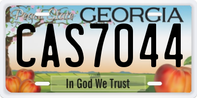 GA license plate CAS7044