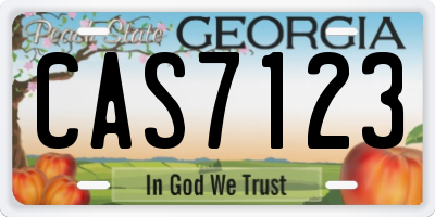 GA license plate CAS7123