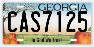 GA license plate CAS7125