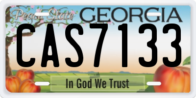 GA license plate CAS7133