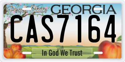 GA license plate CAS7164