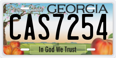 GA license plate CAS7254