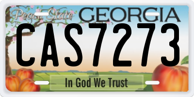 GA license plate CAS7273