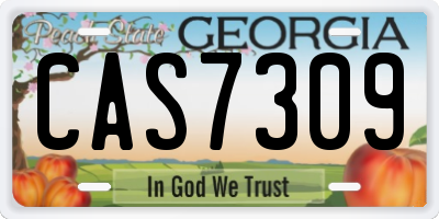 GA license plate CAS7309