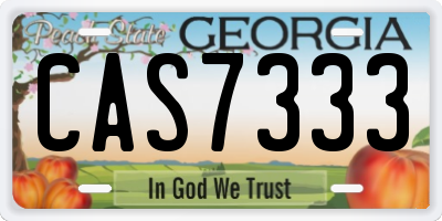 GA license plate CAS7333