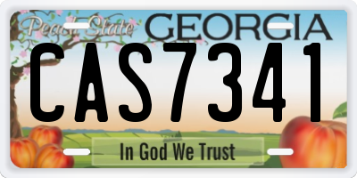 GA license plate CAS7341