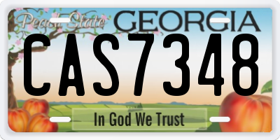 GA license plate CAS7348