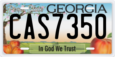 GA license plate CAS7350