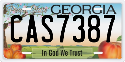 GA license plate CAS7387