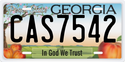 GA license plate CAS7542