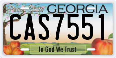 GA license plate CAS7551