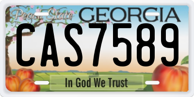 GA license plate CAS7589