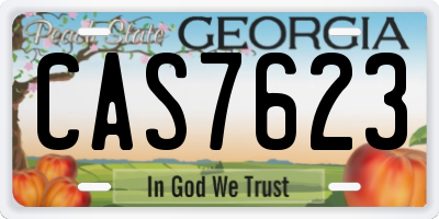 GA license plate CAS7623