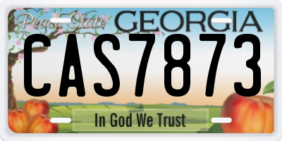 GA license plate CAS7873