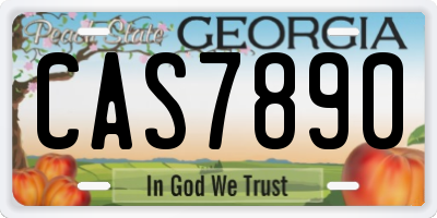 GA license plate CAS7890
