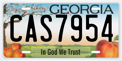 GA license plate CAS7954