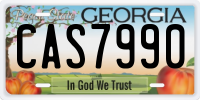 GA license plate CAS7990