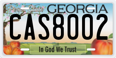 GA license plate CAS8002