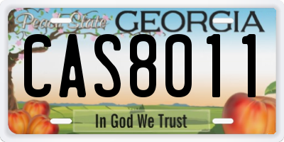 GA license plate CAS8011