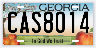 GA license plate CAS8014