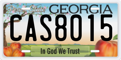 GA license plate CAS8015