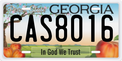 GA license plate CAS8016