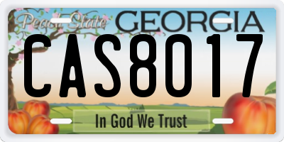 GA license plate CAS8017