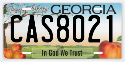 GA license plate CAS8021