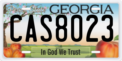 GA license plate CAS8023