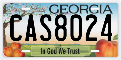 GA license plate CAS8024