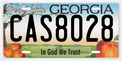 GA license plate CAS8028