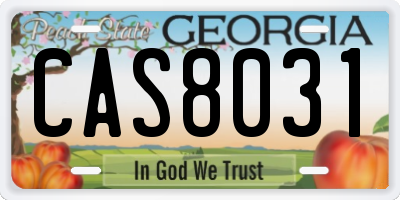 GA license plate CAS8031