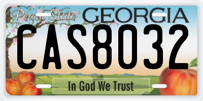 GA license plate CAS8032