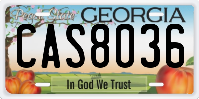 GA license plate CAS8036