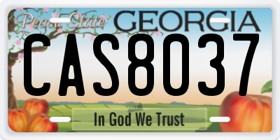 GA license plate CAS8037