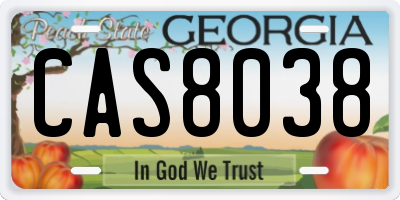 GA license plate CAS8038