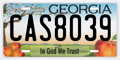 GA license plate CAS8039