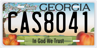 GA license plate CAS8041