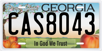 GA license plate CAS8043