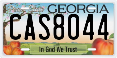 GA license plate CAS8044