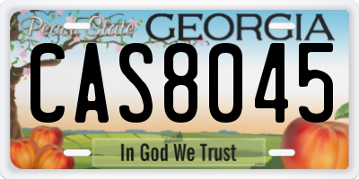 GA license plate CAS8045