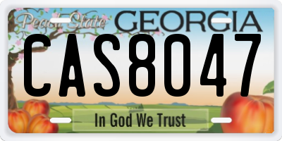 GA license plate CAS8047