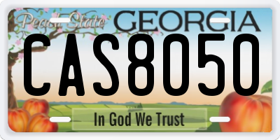 GA license plate CAS8050