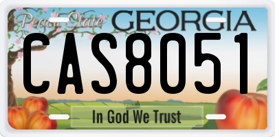 GA license plate CAS8051