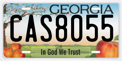 GA license plate CAS8055