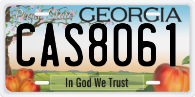 GA license plate CAS8061