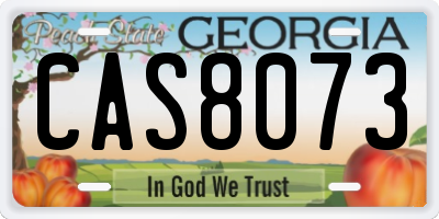 GA license plate CAS8073